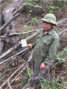 Khởi tố, bắt tạm giam đối tượng phá rừng đặc dụng tại Đồng Sơn- Kỳ Thượng.